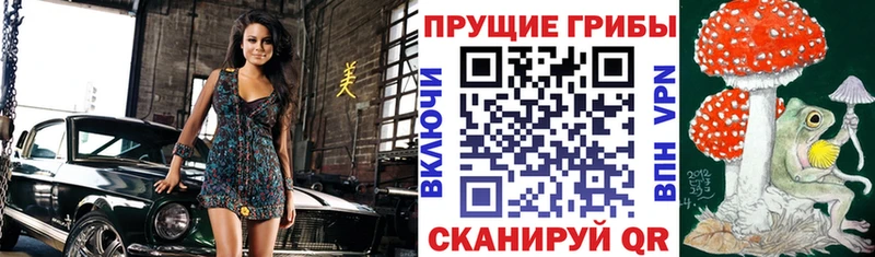 Купить  Злынка  Псилоцибиновые грибы ЛСД 